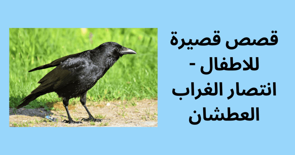 قصص قصيرة للاطفال - انتصار الغراب العطشان