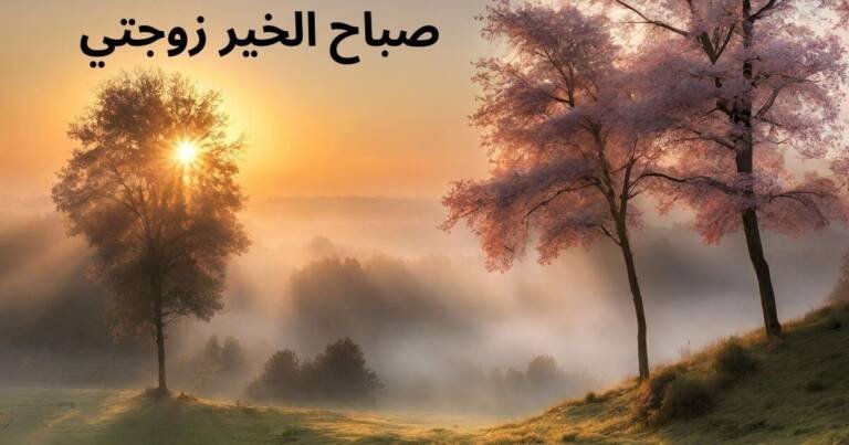 صباح الخير زوجتي