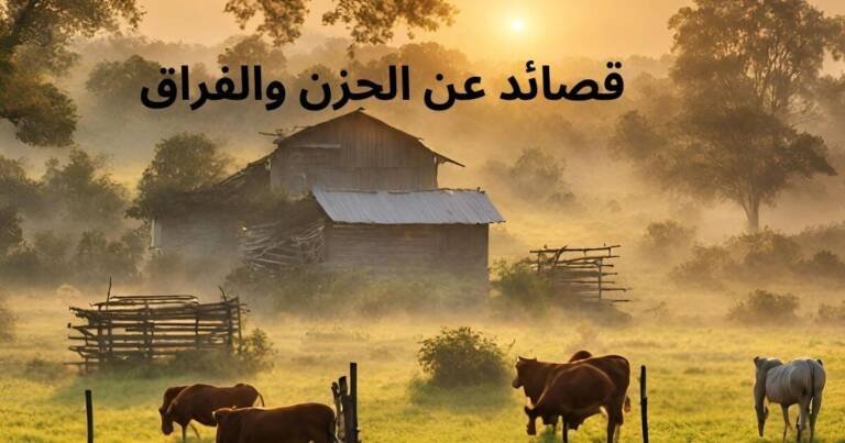 قصائد عن الحزن والفراق