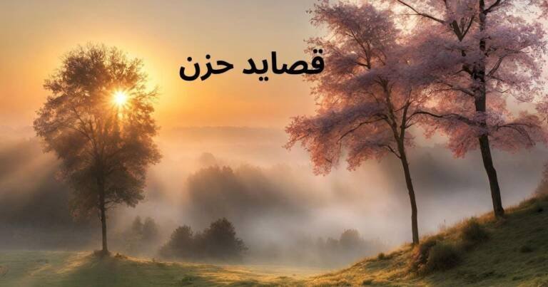 قصايد حزن